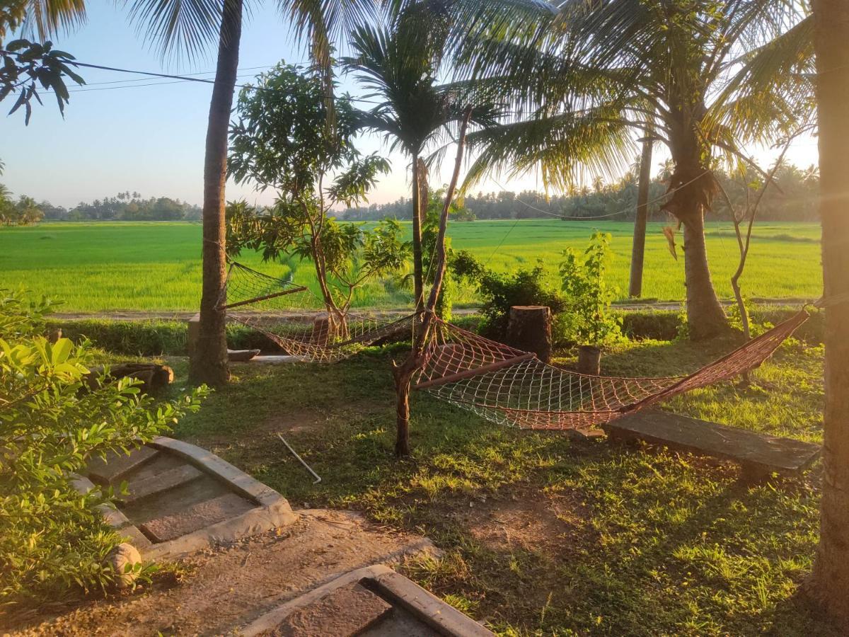 Village Mango Resort Yala Tissamaharama Exterior foto