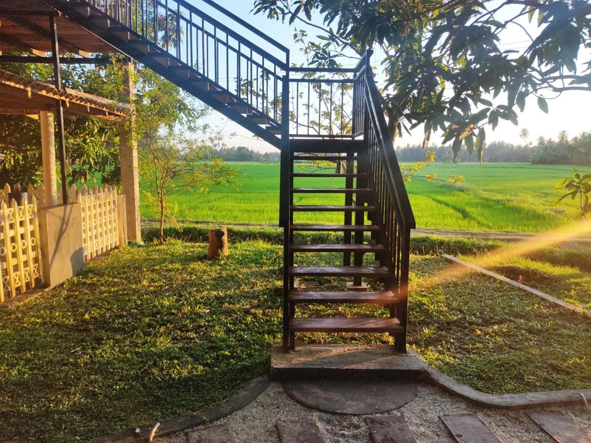 Village Mango Resort Yala Tissamaharama Exterior foto