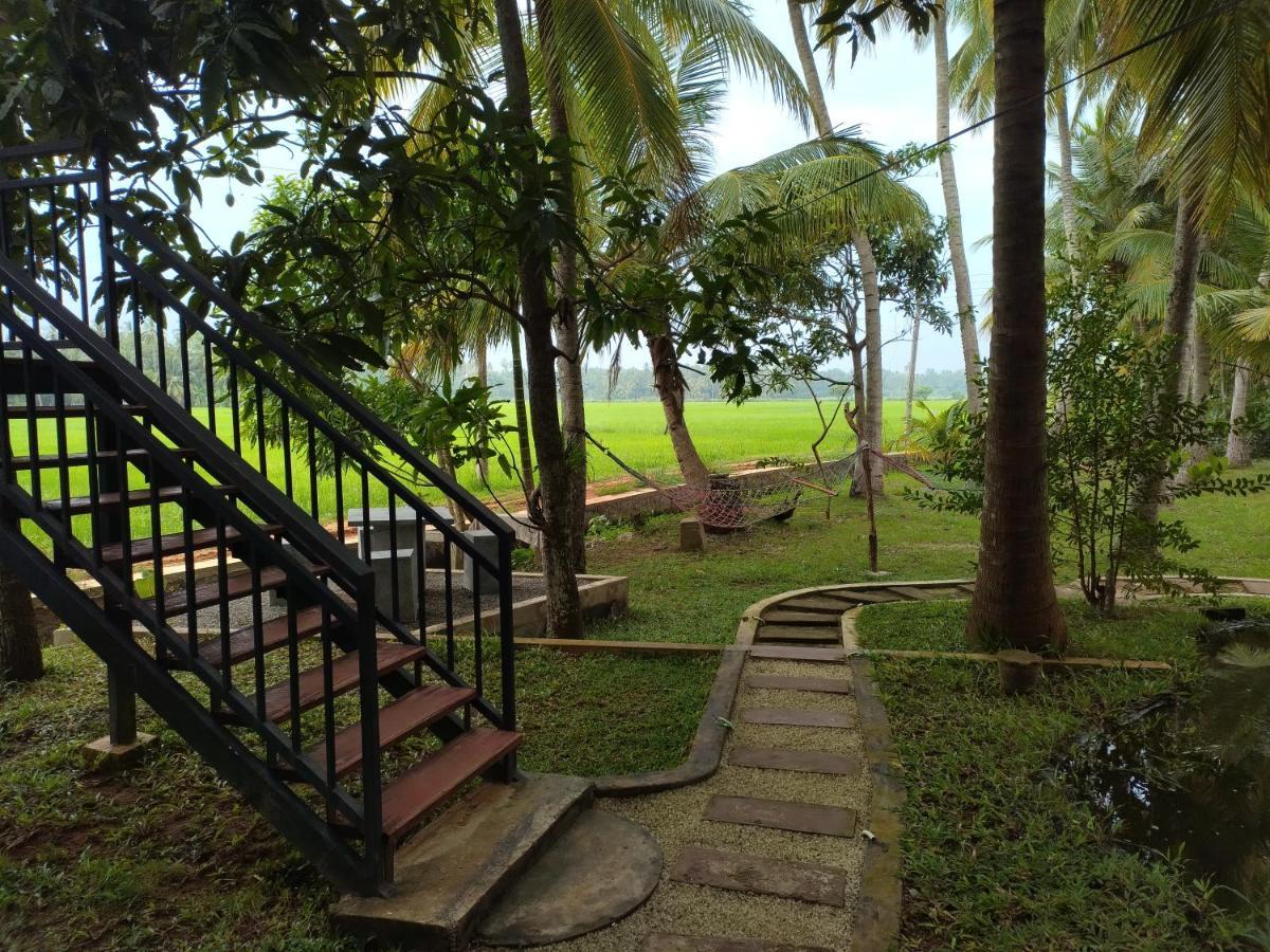 Village Mango Resort Yala Tissamaharama Exterior foto