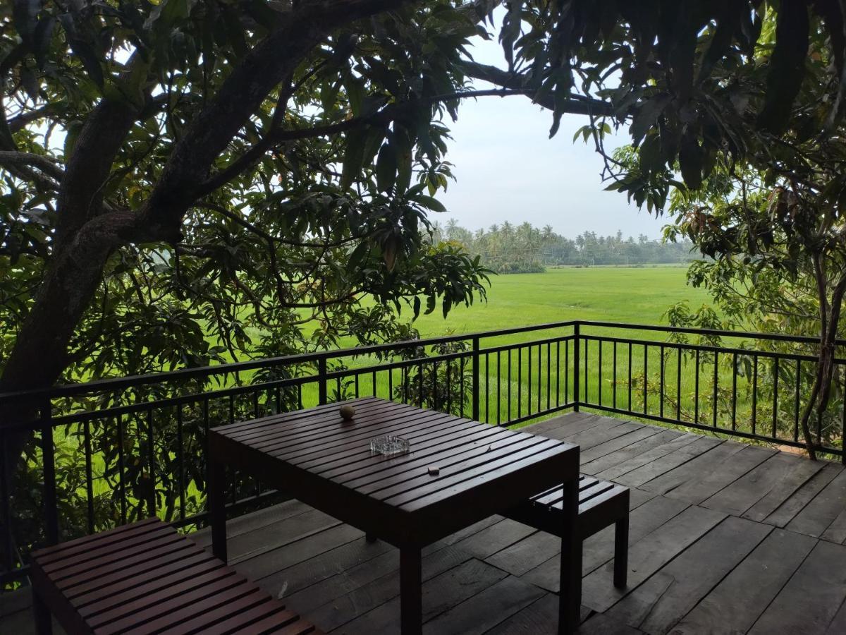 Village Mango Resort Yala Tissamaharama Exterior foto